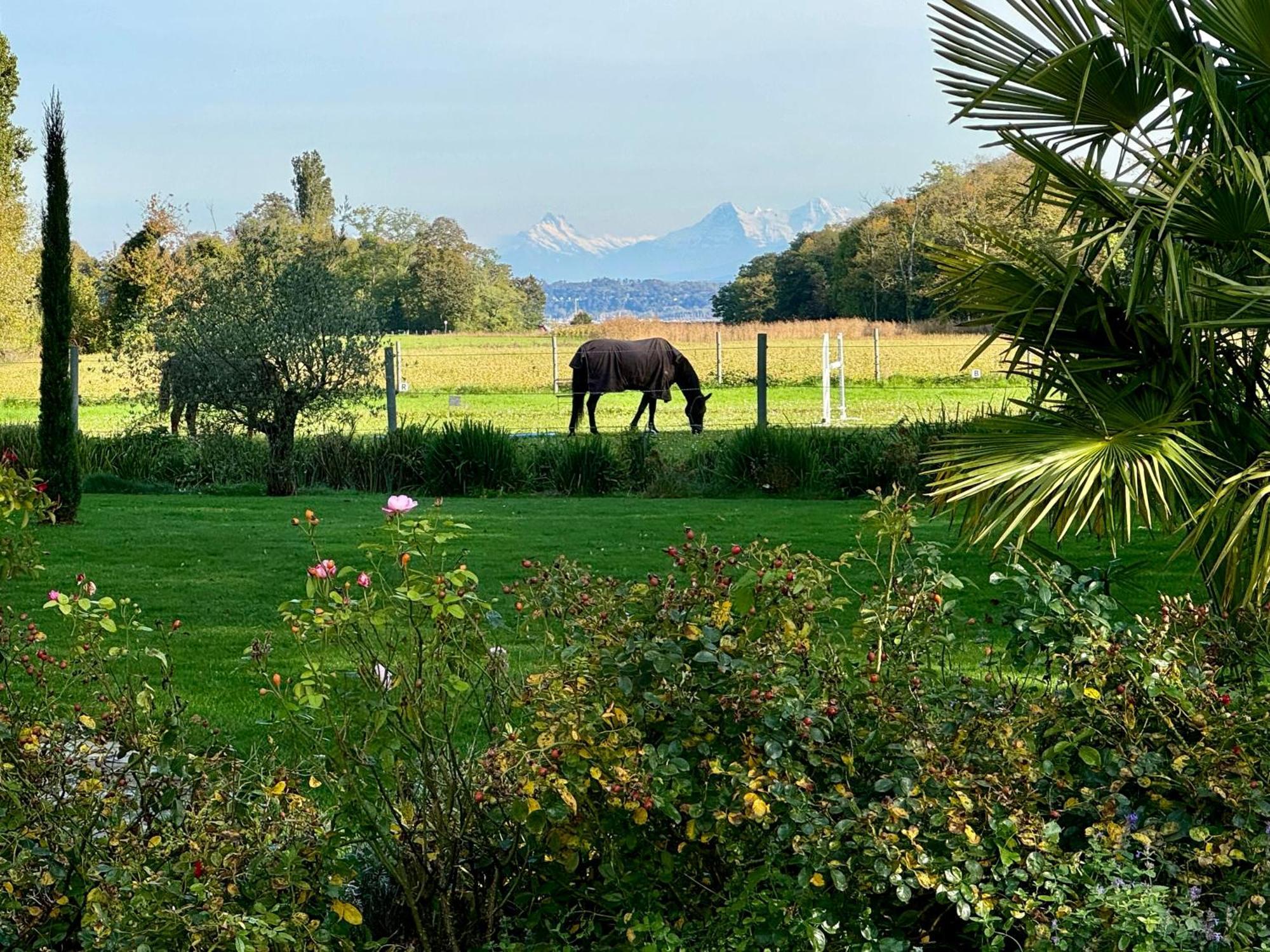 Ferme De Grandchamp * Boudry
